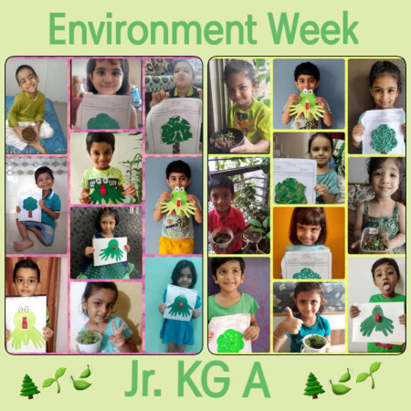 Environment Week (Neo Kids)