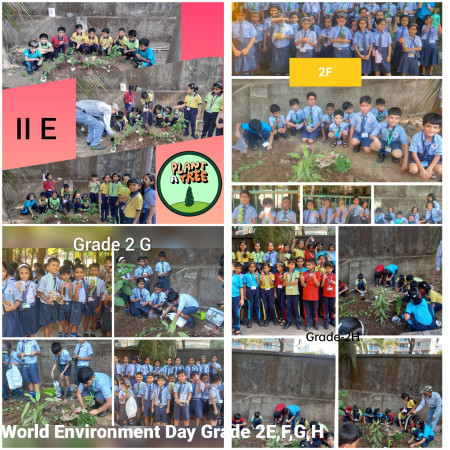 World Environment Day(Primary)